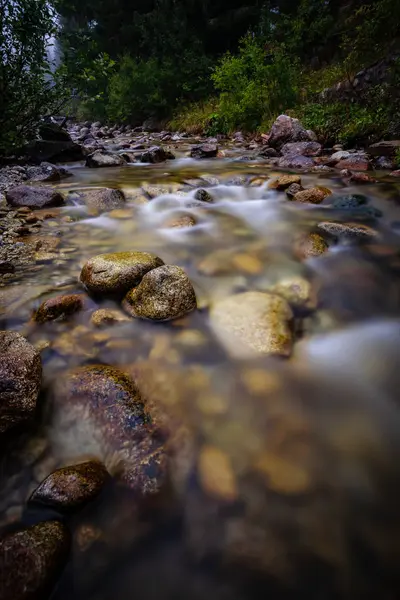 Длительное Воздействие Скалистой Горной Реки Летом Высоким Уровнем Воды Лесах — стоковое фото