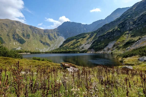 Vista Panorâmica Lago Montanha Final Verão Tatra Cárpatos Eslovacos Com — Fotografia de Stock