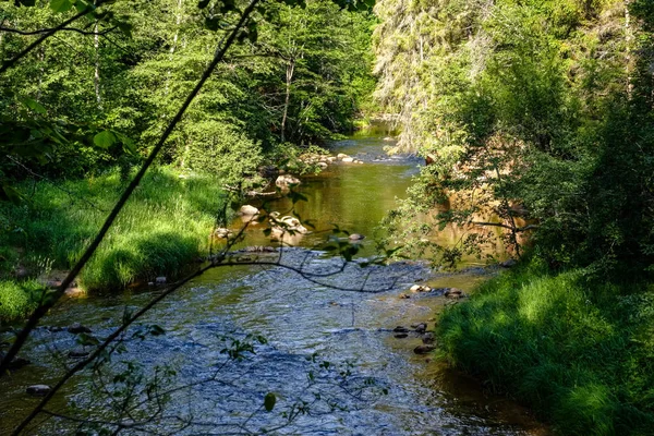 Felsiger Fluss Tief Wald Bei Sommergrünem Wetter Mit Sandsteinfelsen Und — Stockfoto