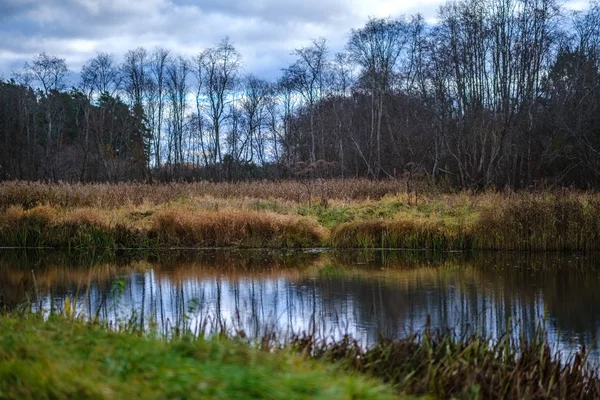 Arbres Couleur Automne Feuilles Dans Parc Près Plan Eau Campagne — Photo