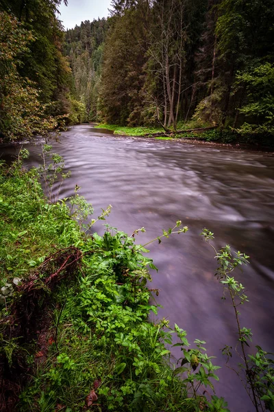 Longue Exposition Rivière Montagne Rocheuse Été Avec Niveau Eau Élevé — Photo