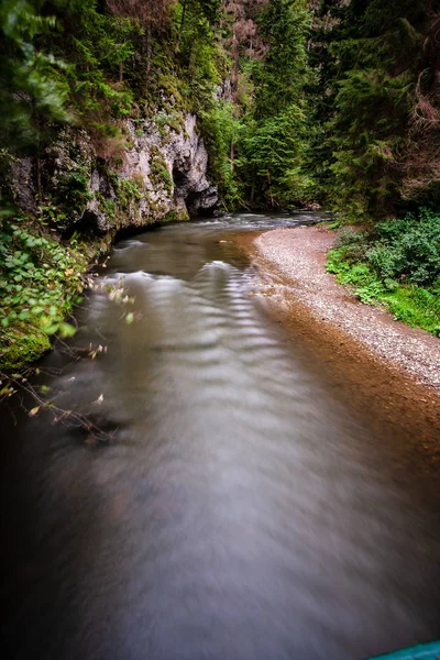 Longue Exposition Rivière Montagne Rocheuse Été Avec Niveau Eau Élevé — Photo