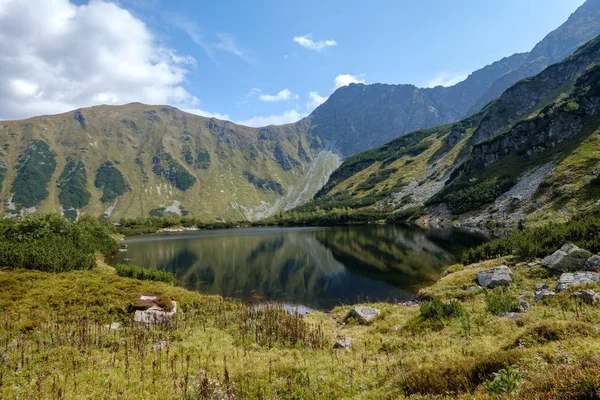 Panorama View Van Bergmeer Nazomer Tatra Slowaakse Karpaten Met Reflecties — Stockfoto