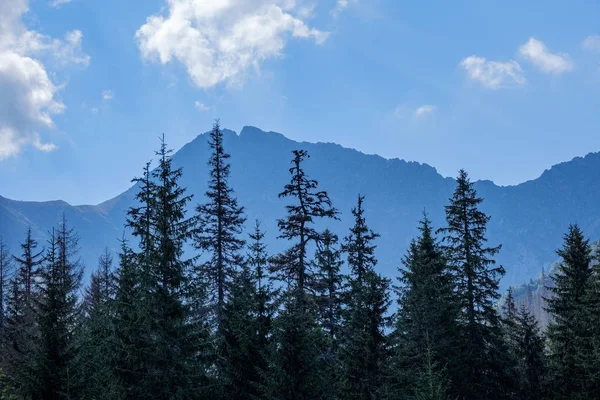 Karpaty Zachodnie Szczyty Gór Mgły Jesienią Lub Chmury Niebieski Odcień — Zdjęcie stockowe