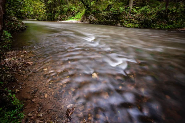 Lange Belichtung Des Felsigen Gebirgsflusses Sommer Mit Hohem Wasserstand Wald — Stockfoto