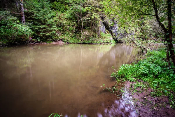 夏季岩石山河长期暴露 森林中的水流水平高 — 图库照片