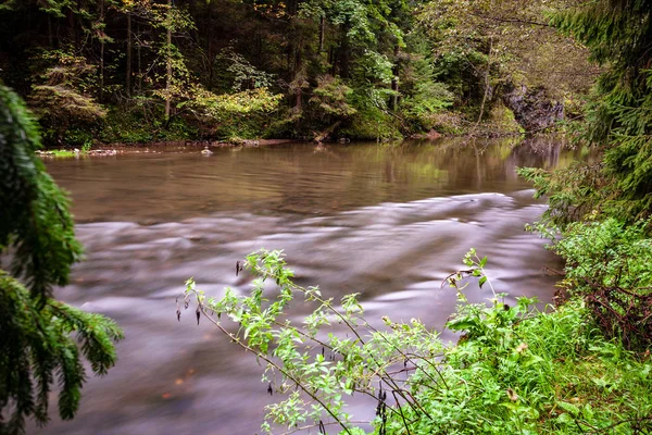 Lange Belichtung Des Felsigen Gebirgsflusses Sommer Mit Hohem Wasserstand Wald — Stockfoto