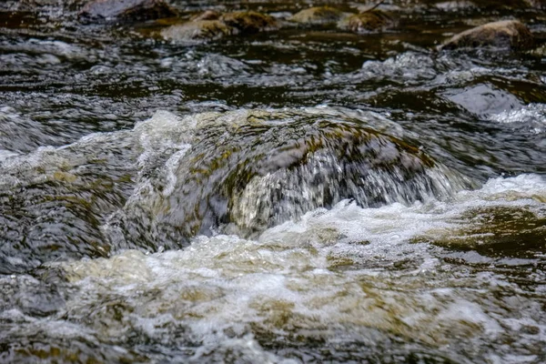 Arroyo Rocoso Río Profundo Bosque Tiempo Verde Verano Con Acantilados — Foto de Stock