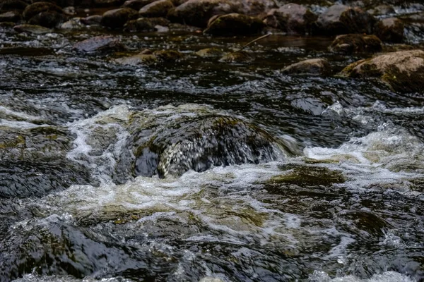 Torrente Roccioso Fiume Profondo Nella Foresta Estate Tempo Verde Con — Foto Stock