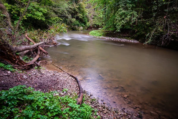 森林の高水位ストリームと夏のロッキー山脈川の長時間露光 — ストック写真