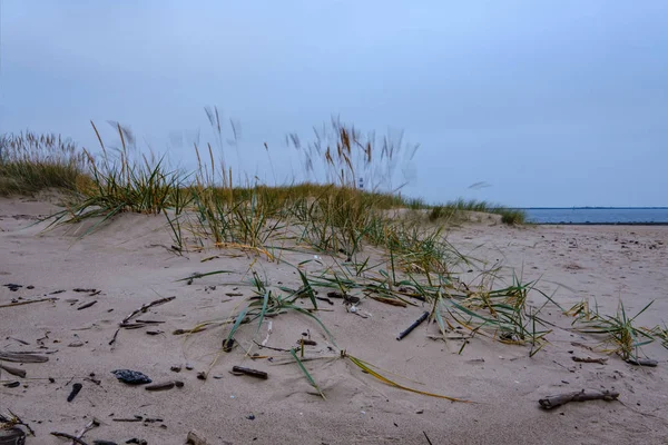 Сухі Трав Яні Вентиляційні Отвори Піску Пляжі Холодний Осінній Вечір — стокове фото