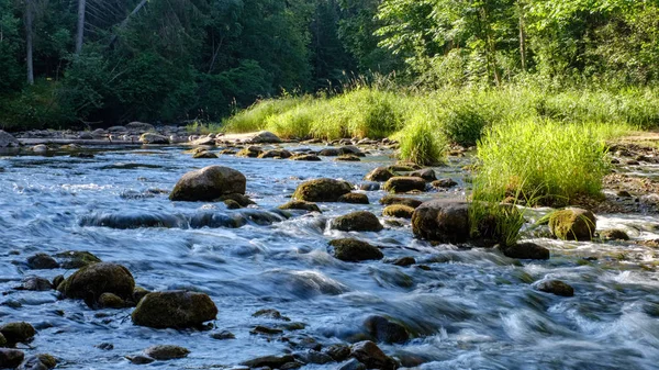 Βραχώδη Ρεύμα Του Ποταμού Βαθιά Στο Δάσος Όταν Καιρός Είναι — Φωτογραφία Αρχείου