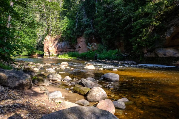 Córrego Rochoso Rio Profundamente Floresta Verão Tempo Verde Com Falésias — Fotografia de Stock