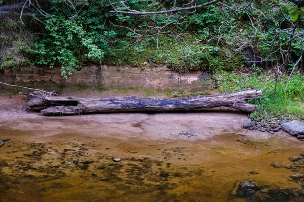 Córrego Rochoso Rio Profundamente Floresta Verão Tempo Verde Com Falésias — Fotografia de Stock