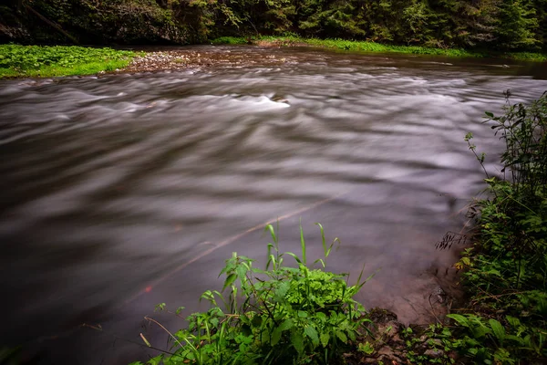 Lange Belichtung Des Felsigen Gebirgsflusses Sommer Mit Hohem Wasserstand Wald — Stockfoto