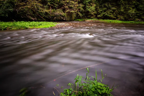 Длительное Воздействие Скалистой Горной Реки Летом Высоким Уровнем Воды Лесах — стоковое фото