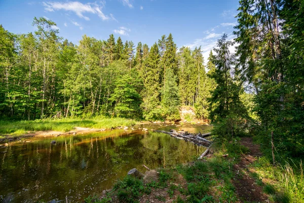 Felsiger Fluss Tief Wald Bei Sommergrünem Wetter Mit Sandsteinfelsen Und — Stockfoto