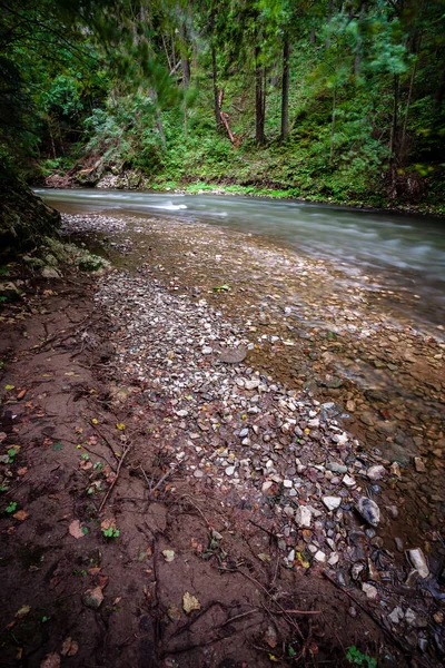 Larga Exposición Del Río Rocoso Montaña Verano Con Alto Nivel — Foto de Stock