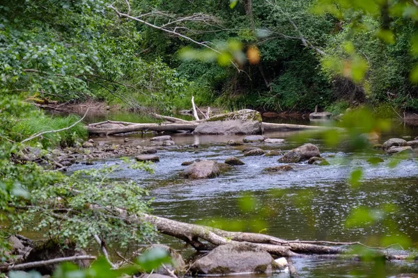 Arroyo Rocoso Río Profundo Bosque Tiempo Verde Verano Con Acantilados — Foto de Stock