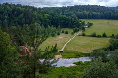 Nehir derin orman kumtaşı kayalıklarla ve eski kuru ağaç gövdeleri ile yaz yeşil havalarda kayalık akış. Letonya Cesis yakınındaki nehirde Amata
