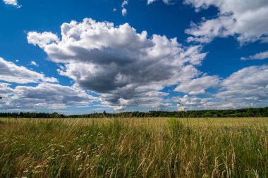 kontrast yağmur fırtına bulutları yeşil çayır ve yaz aylarında bazı ağaçlar üzerinde 