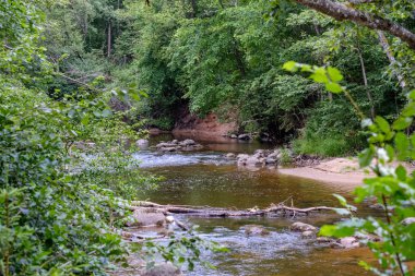 Nehir derin orman kumtaşı kayalıklarla ve eski kuru ağaç gövdeleri ile yaz yeşil havalarda kayalık akış. Letonya Cesis yakınındaki nehirde Amata