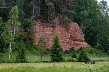 Nehir derin orman kumtaşı kayalıklarla ve eski kuru ağaç gövdeleri ile yaz yeşil havalarda kayalık akış. Letonya Cesis yakınındaki nehirde Amata