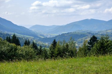 Batı Karpat Tatra dağ manzarası yeşil alanları ve ormanları ön planda 