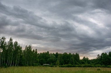kontrast yağmur fırtına bulutları yeşil çayır ve yaz aylarında bazı ağaçlar üzerinde 