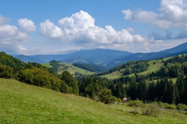 Batı Karpat Tatra dağ manzarası yeşil alanları ve ormanları ön planda 