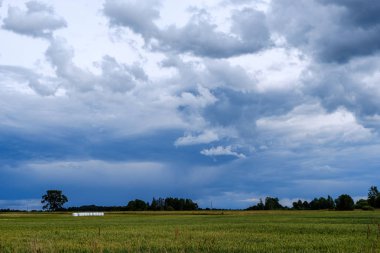 kontrast yağmur fırtına bulutları yeşil çayır ve yaz aylarında bazı ağaçlar üzerinde 