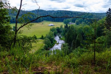 Nehir derin orman kumtaşı kayalıklarla ve eski kuru ağaç gövdeleri ile yaz yeşil havalarda kayalık akış. Letonya Cesis yakınındaki nehirde Amata