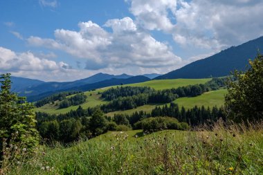 Batı Karpat Tatra dağ manzarası yeşil alanları ve ormanları ön planda 