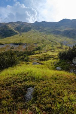 kayalık hiking trail Batı Karpat Slovakya'daki Tatra Dağları turistler için. yaz günü yürüyüş ve macera için temizleyin