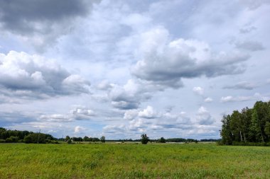 kontrast yağmur fırtına bulutları yeşil çayır ve yaz aylarında bazı ağaçlar üzerinde 