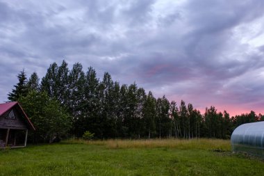 kontrast yağmur fırtına bulutları yeşil çayır ve yaz aylarında bazı ağaçlar üzerinde 
