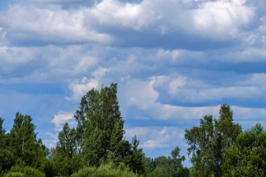 kontrast yağmur fırtına bulutları yeşil çayır ve yaz aylarında bazı ağaçlar üzerinde 