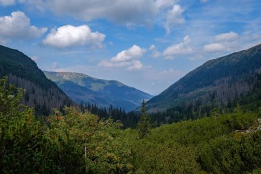 Batı Karpat Tatra dağ manzarası yeşil alanları ve ormanları ön planda 