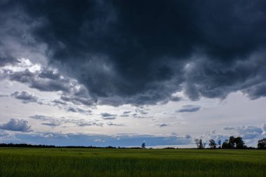 kontrast yağmur fırtına bulutları yeşil çayır ve yaz aylarında bazı ağaçlar üzerinde 