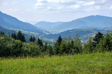 Batı Karpat Tatra dağ manzarası yeşil alanları ve ormanları ön planda 