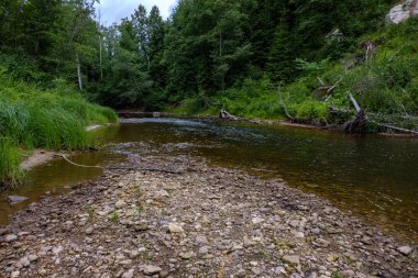 Nehir derin orman kumtaşı kayalıklarla ve eski kuru ağaç gövdeleri ile yaz yeşil havalarda kayalık akış. Letonya Cesis yakınındaki nehirde Amata