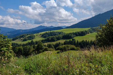 Batı Karpat Tatra dağ manzarası yeşil alanları ve ormanları ön planda 