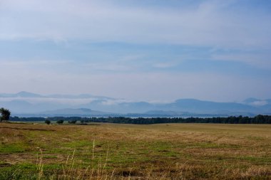 Batı Karpat Tatra dağ manzarası yeşil alanları ve ormanları ön planda 