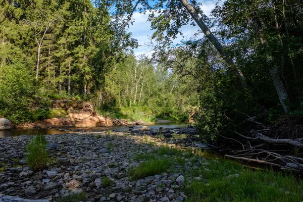 Rocky Ström Floden Djupt Skogen Gröna Sommarväder Med Sandstensklippor Och — Stockfoto