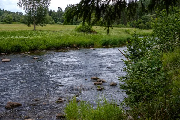 Ruisseau Rocheux Rivière Profondément Dans Forêt Par Temps Vert Été — Photo