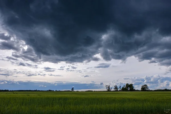 Αντίθεση Βροχή Σύννεφα Της Καταιγίδας Πάνω Από Πράσινα Λιβάδια Και — Φωτογραφία Αρχείου