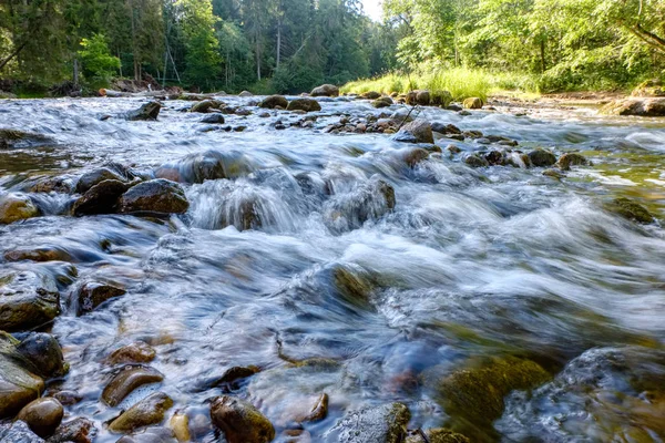 Arroyo Rocoso Río Profundo Bosque Tiempo Verde Verano Con Acantilados —  Fotos de Stock