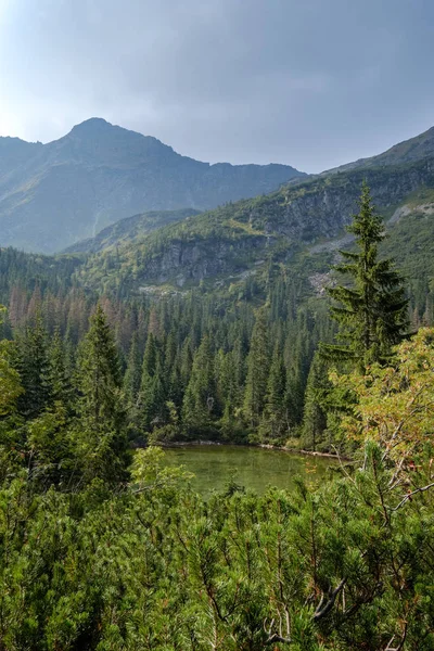 Західні Карпати Tatra Гірський Skyline Зелені Поля Ліси Переднього Плану — стокове фото