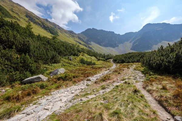 western carpathian Tatra mountain skyline with green fields and forests in foreground