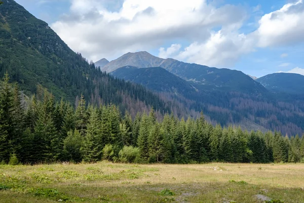 Cárpatos Occidentales Tatra Horizonte Montaña Con Campos Verdes Bosques Primer — Foto de Stock